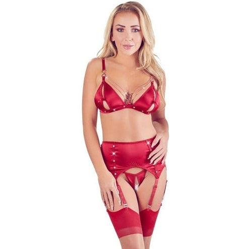 Abierta Fina Bra and Suspender Set