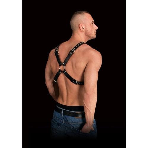 Adonis Chest Harness