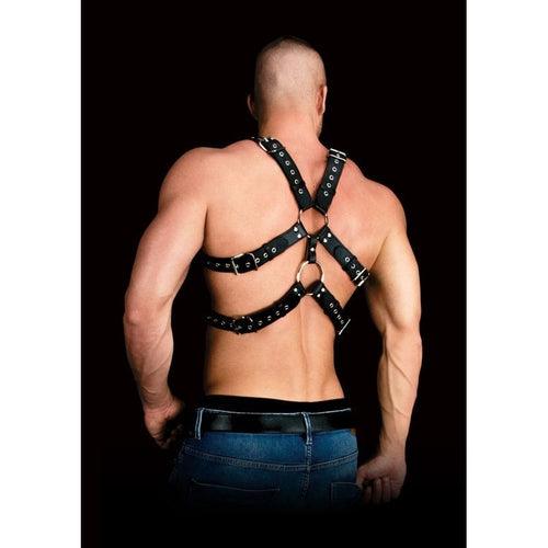 Andres Chest Harness