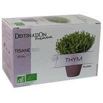 Org Infusion Thyme 20 Sachets