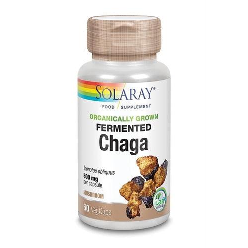 Organically Grown Fermented Chaga