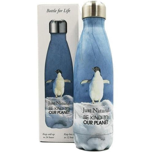 Stainless Steel Drinks Bottle 500ml - Penguin