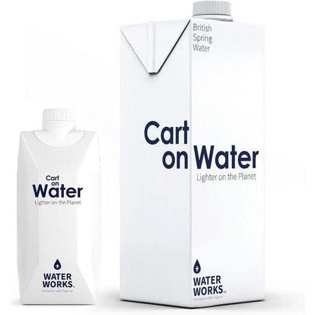 Water Works - Planet friendly still water in a carton (330ml)